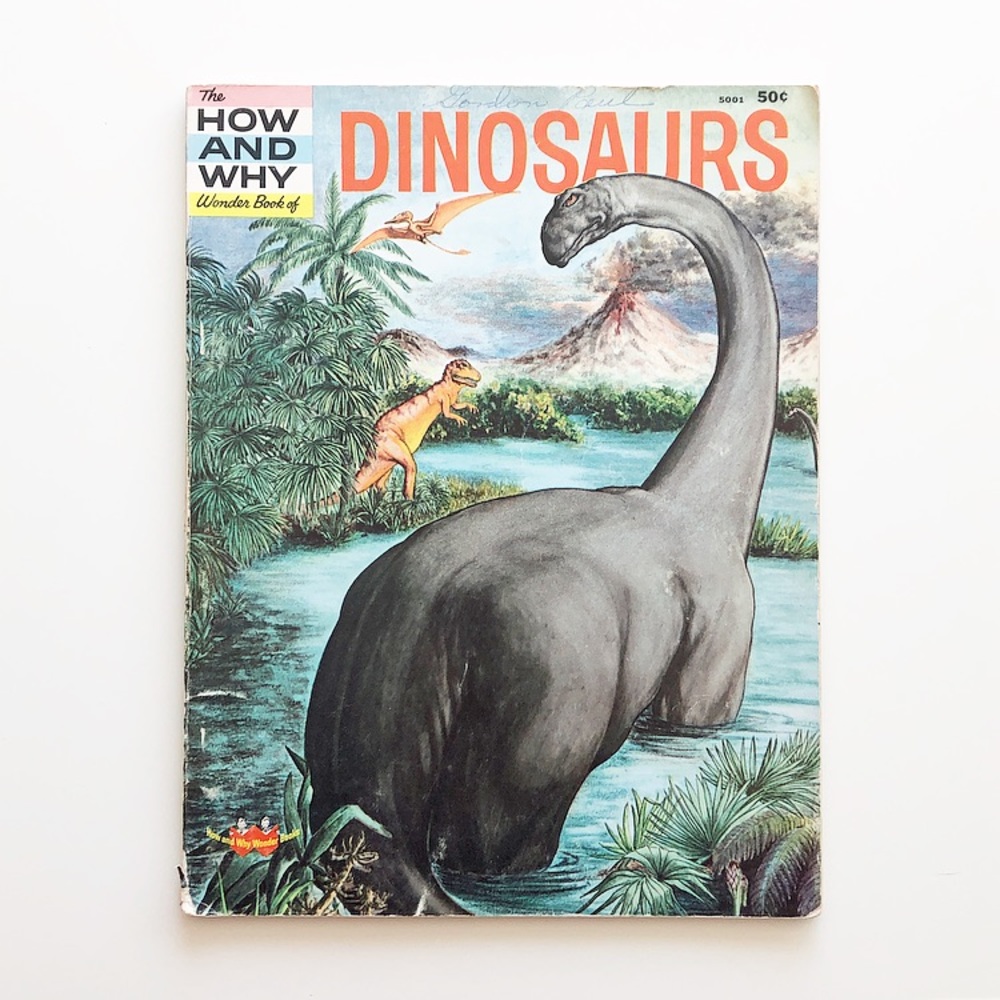The How And Why Wonder Book Of Dinosaurs by Darlene Geis